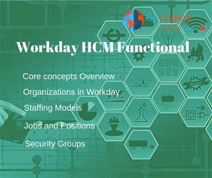 Workday HCM Functional online training